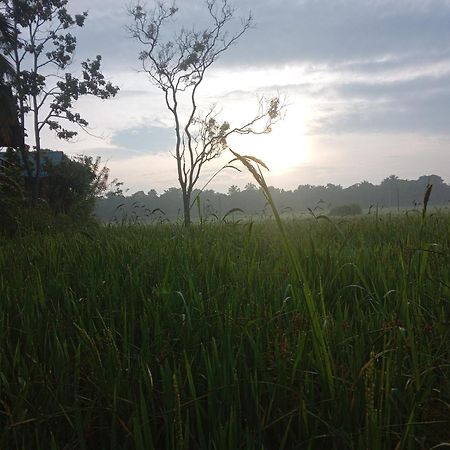 Вилла Sigiriya Paddy Field Hut Номер фото
