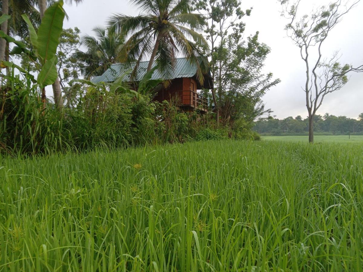 Вилла Sigiriya Paddy Field Hut Экстерьер фото