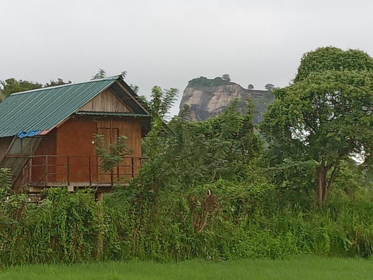 Вилла Sigiriya Paddy Field Hut Экстерьер фото