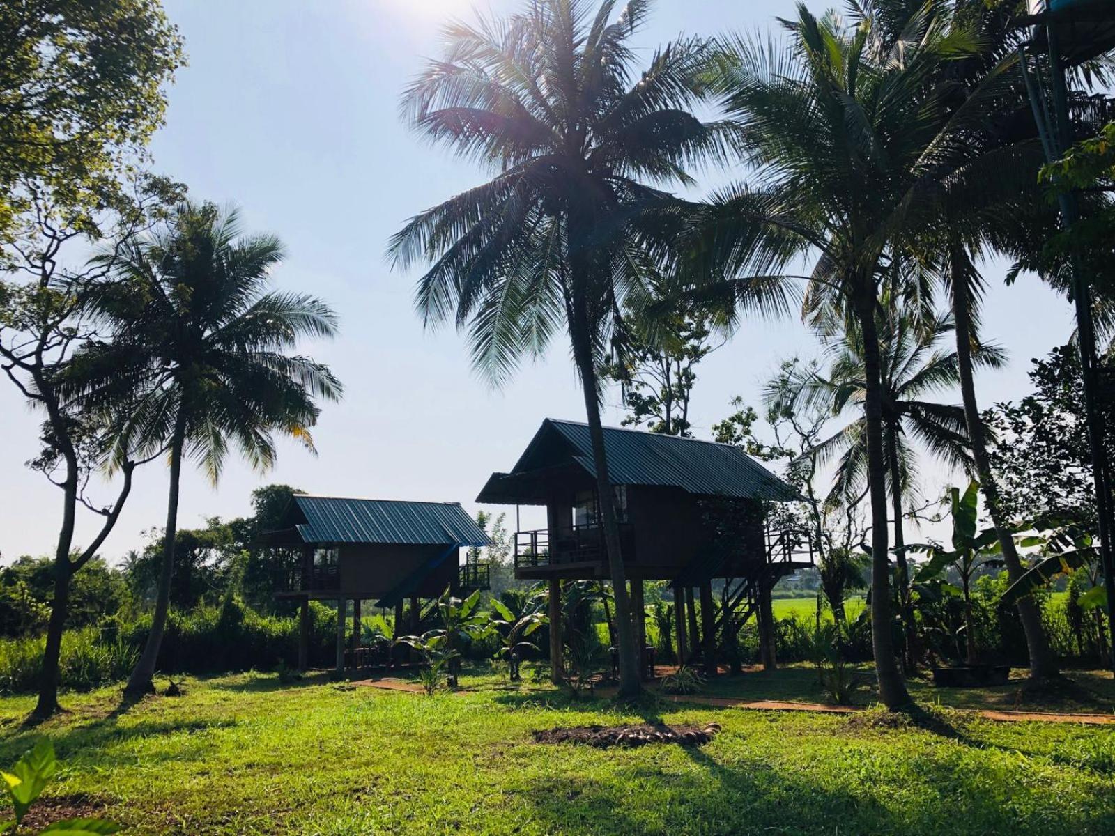 Вилла Sigiriya Paddy Field Hut Номер фото